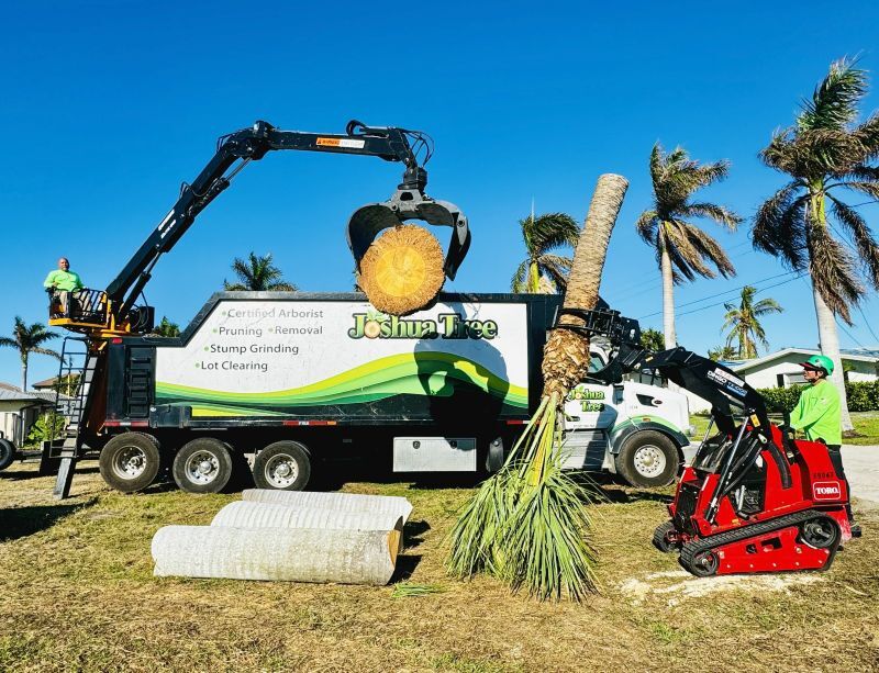 Safe Palm Tree Removal by Joshua Tree Inc. in Southwest Florida Joshua Tree Inc. crew performing safe palm tree removal using cranes and specialized equipment in Southwest Florida