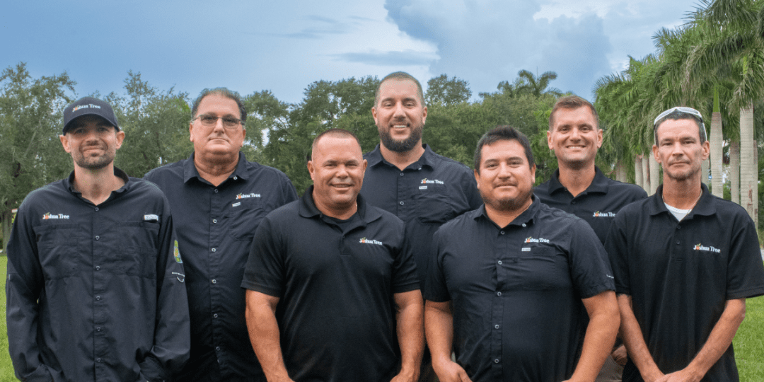 arborist expertise tree care advisors at joshua tree inc in southwest florida